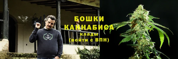 дживик Белокуриха