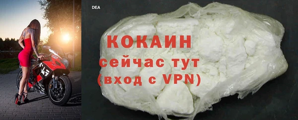 дживик Белокуриха