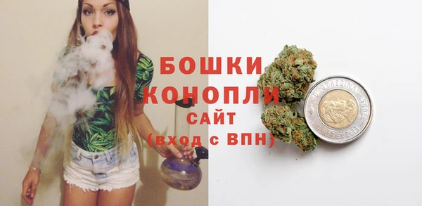 дживик Белокуриха