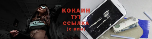 дживик Белокуриха