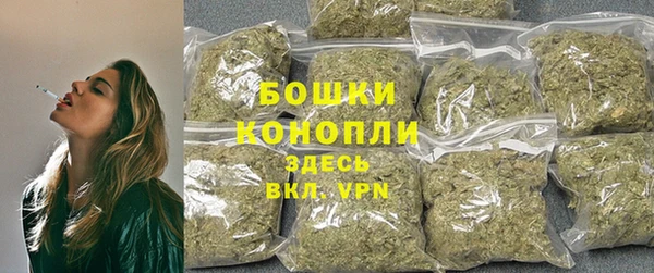 дживик Белокуриха