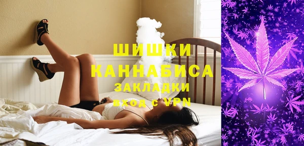 дживик Белокуриха