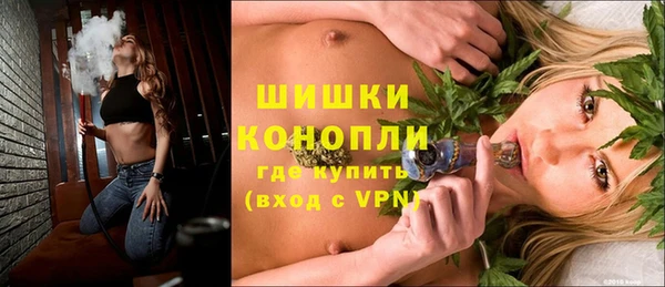 дживик Белокуриха