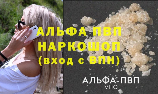 дживик Белокуриха