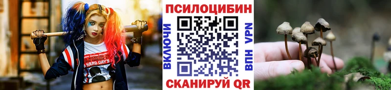 Галлюциногенные грибы MAGIC MUSHROOMS  mega ТОР  Йошкар-Ола 
